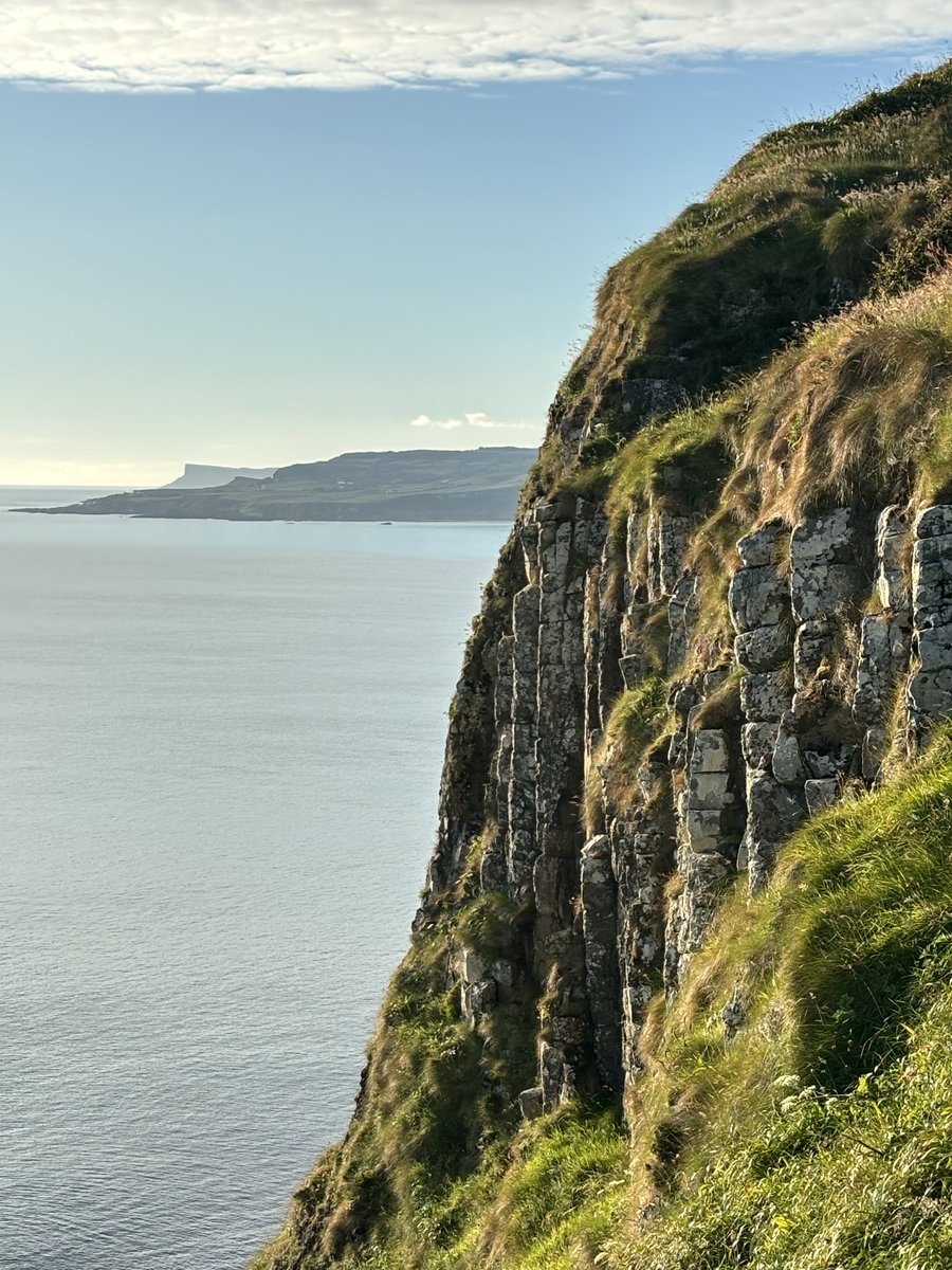 Stephen Trew tweet media