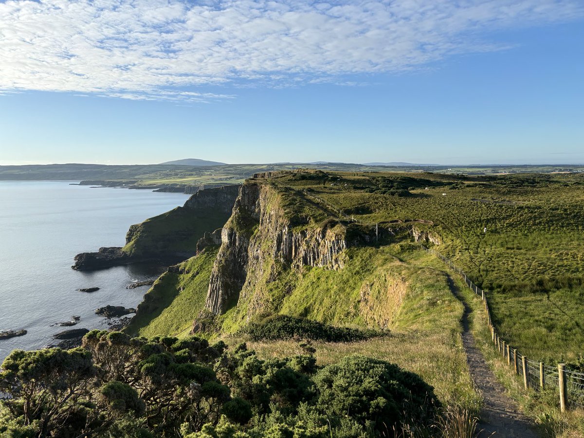 Stephen Trew tweet media