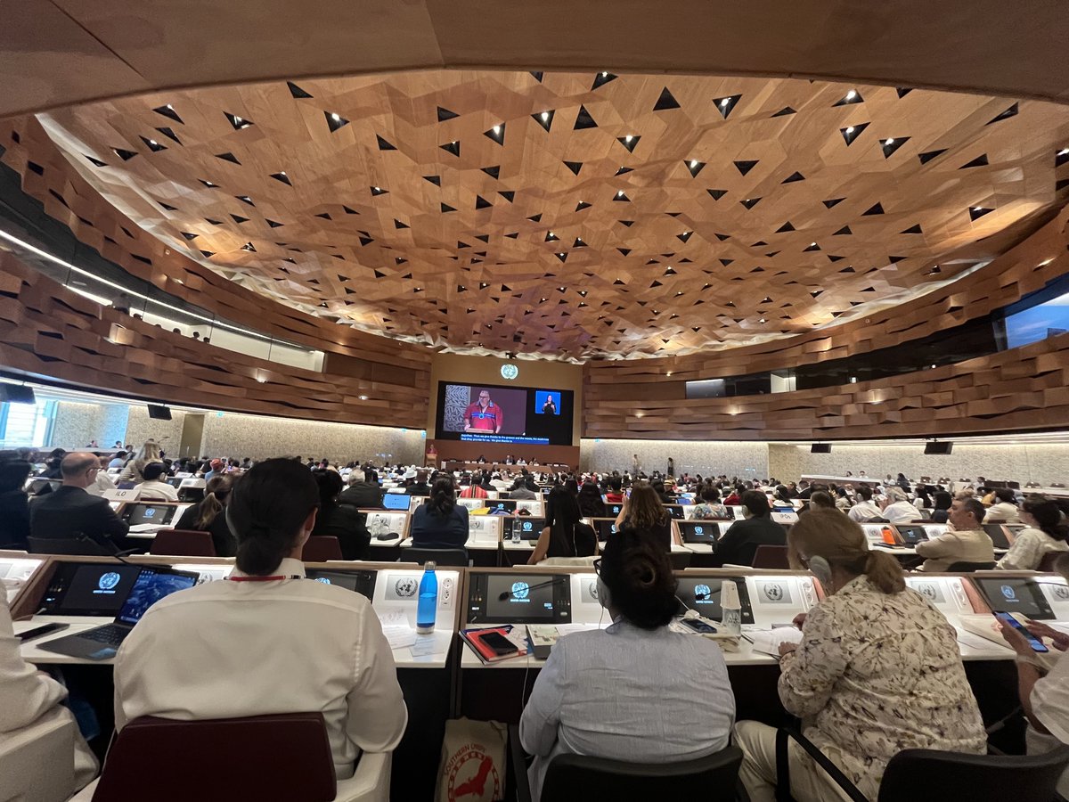 TinhinanCa's tweet image. Association Tinhinan a aujourd&apos;hui le plaisir d&apos;assister à la 17ème session du #EMRIP
@UNGeneva pour discuter de l&apos;autodétermination et de la transformation de la santé autochtone! #solutionsdurables #droitsautochtones