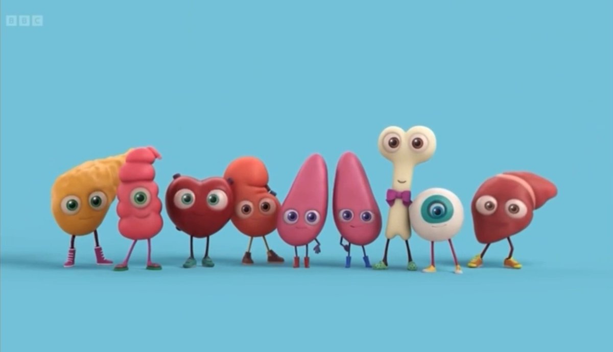 Yates_luke's tweet image. Grateful to be featured on the @BBCTheOneShow tonight showcasing the important work of @LLTGL and the @MightyOrgamites in promoting organ donation awareness in primary schools. Despite the law change @NHSBT stats released today show consent rate has dipped.