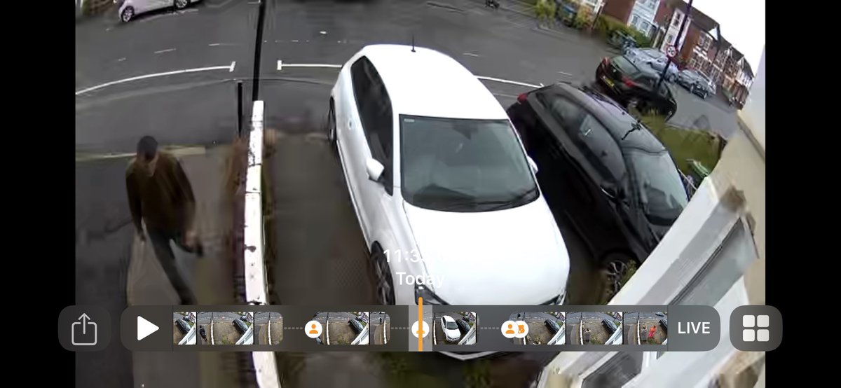 Dr. Adam Procter tweet media