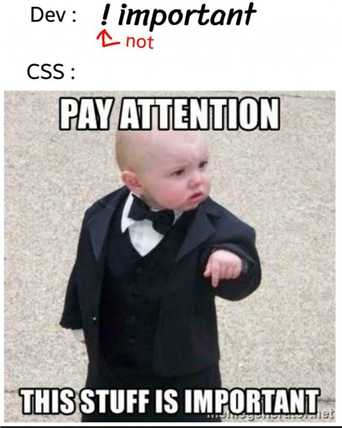 RyanEls4's tweet photo. CSS says it's important 😂 https://t.co/DoHVM1to9K