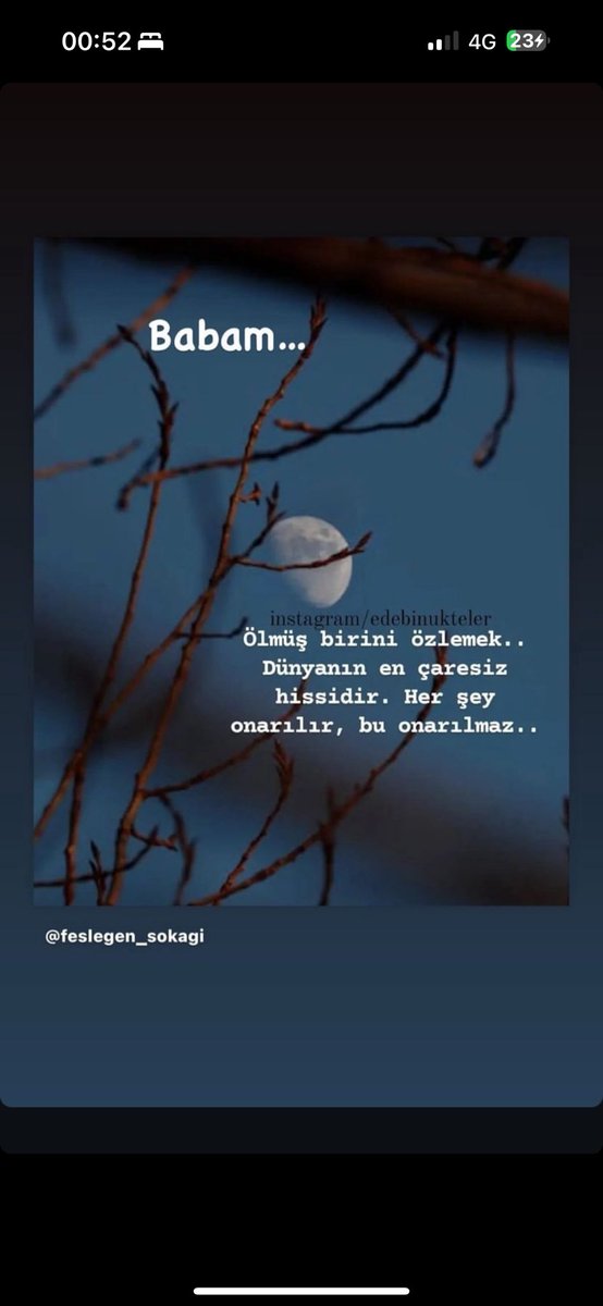 Halime (@halime_kor) on Twitter photo 