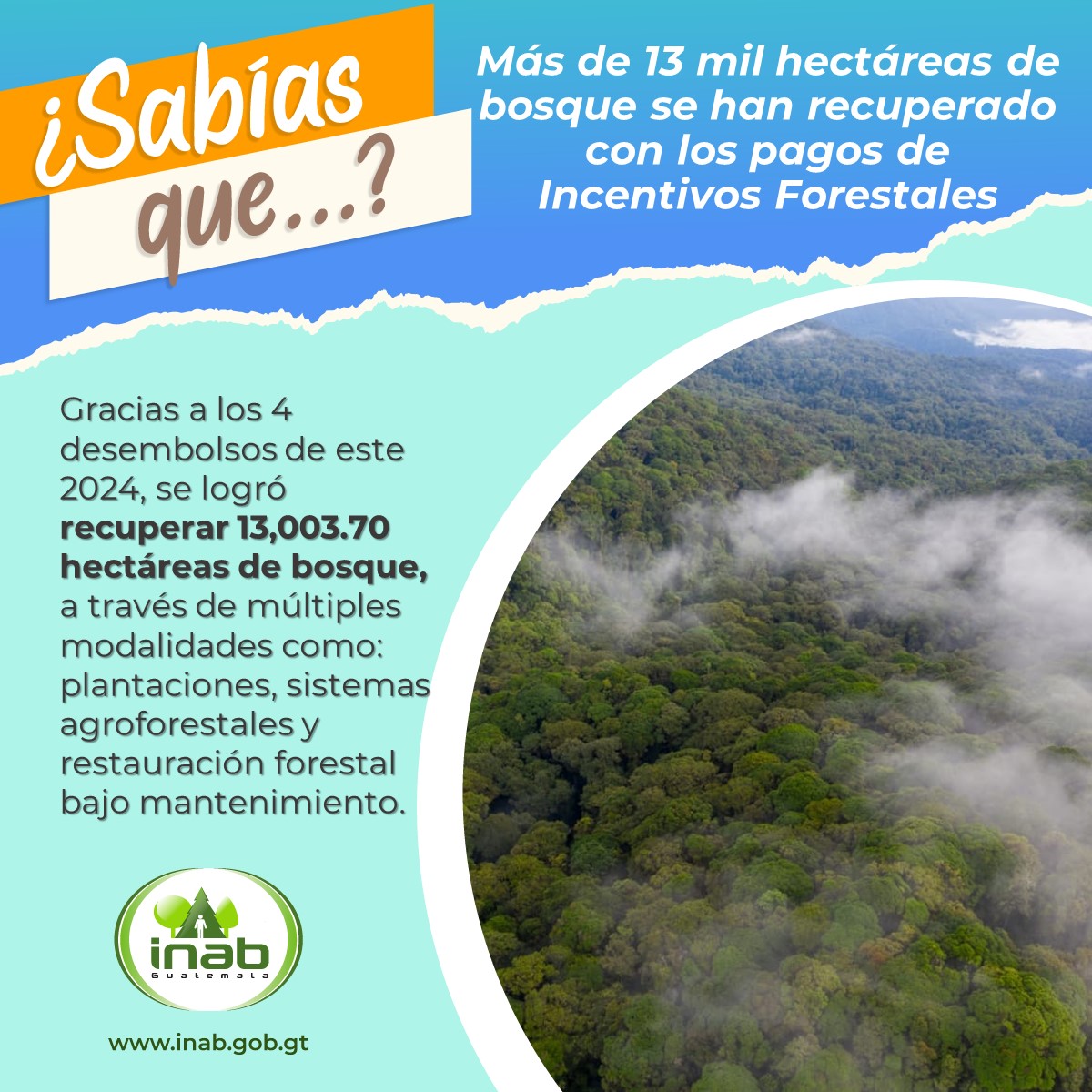 inabguatemala's tweet photo. 🌳Todos trabajamos por una Guatemala con Más Bosques, Más Vida🌳💚🇬🇹.

#INAB #MásBosquesMásVida   #Bosques #Gt #Pinpep #Probosque #IncentivosForestales https://t.co/JVs7tB09KN