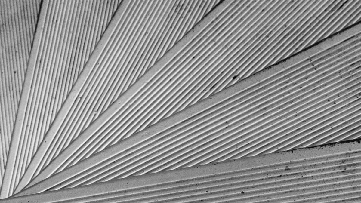 thomasrousing's tweet photo. SORT-HVID BLACK-WHITE #kontrast #contrast https://t.co/ijDpImnK5p