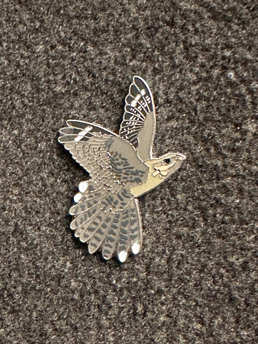 Alan Knox tweet media