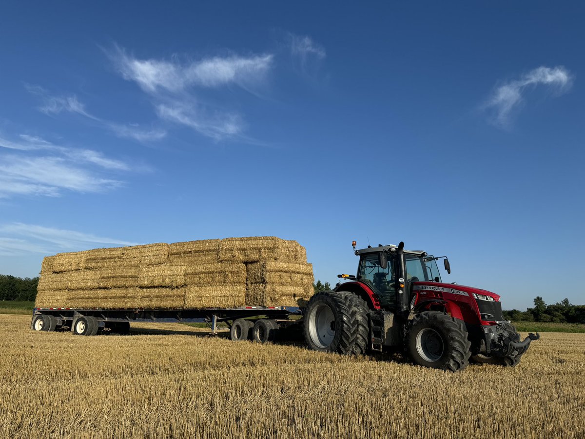 Check out this Sassy Massey 
Taken by customers of ours! 
#MasseyFerguson 
#MFBornToFarm