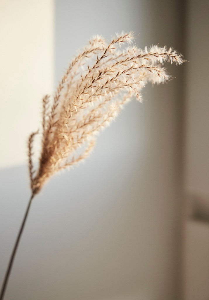 We choose our retailers carefully and there's a reason why...

Expert advice ✓
Tailored transformations ✓
Local specialists ✓
Peace of mind ✓

Get the best out of your Luxaflex® experience at your local showroom: luxaflex.co.uk/find-showroom/…