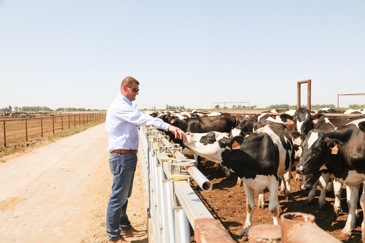 It’s #CowAppreciationDay🐄

Today we celebrate California’s 1.7 million milk cows that supply our nation with nutritious dairy products! 🥛