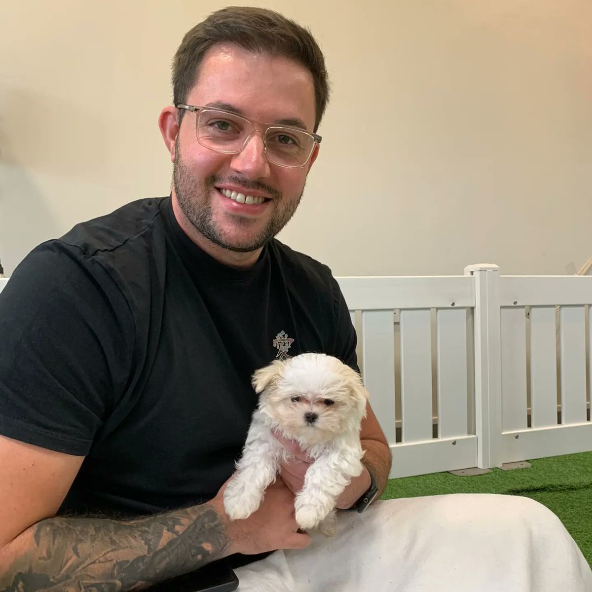 Mike Consalvey tweet media