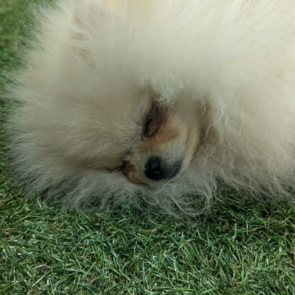 Mike Consalvey tweet media