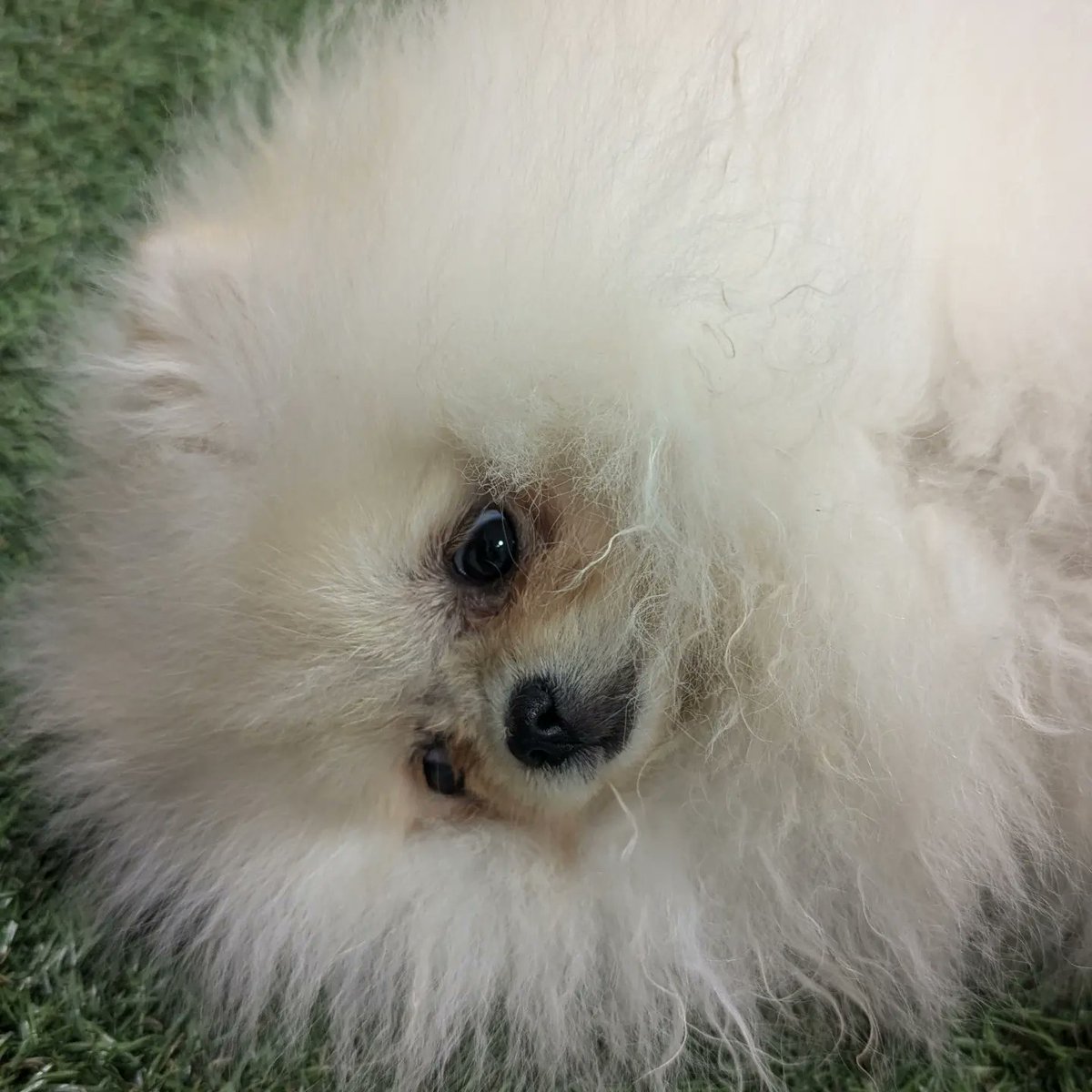 Mike Consalvey tweet media