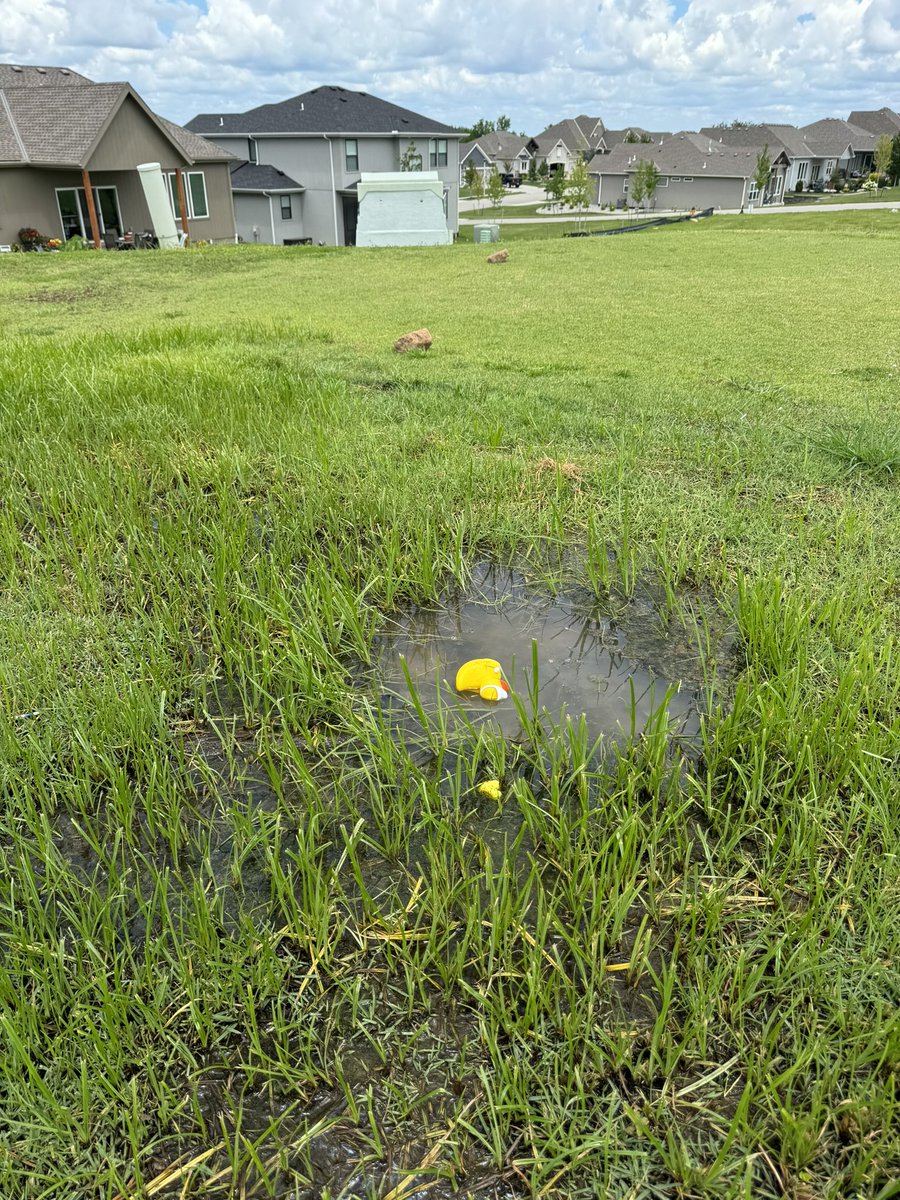 The King is back! 🤴 
Listen folks - when you’ve got fairways and tee boxes absolutely #dialed - you can focus on bigger issues like raising guest fees to $200 and threatening to suspend members.