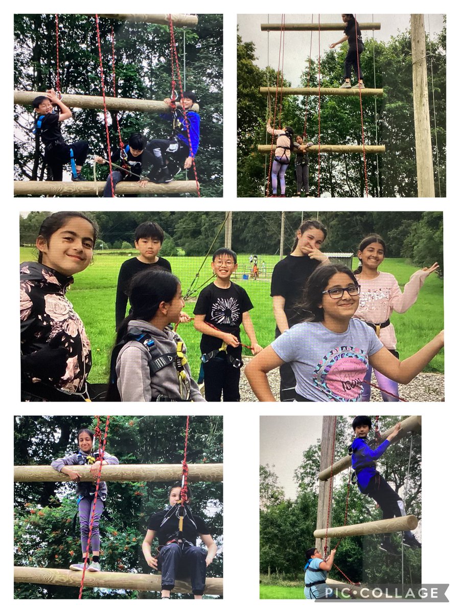 Miss Aspinwall - Year 6 tweet media
