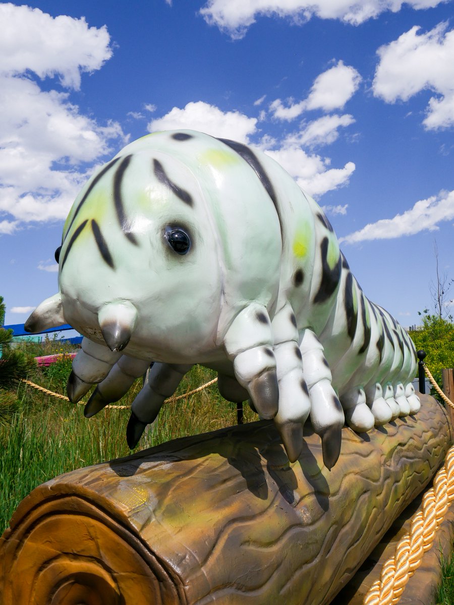 TELUS_Spark's tweet photo. You grow girl! 🦋

From #egg, to #larva, to #pupa, to #butterfly - the #lifecycle of #butterflies is fascinating! Learn all about the captivating lives of #bugs at #TELUSSpark's #MonsterInsects! #Sparkscience

Monster Insects: https://t.co/POZziSKPAr https://t.co/lydlB675yg