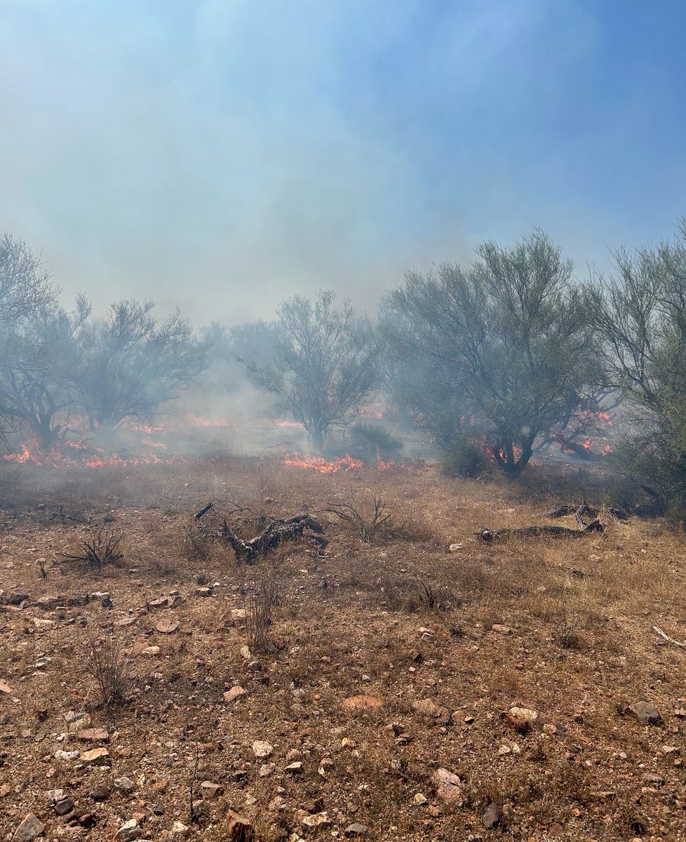 azstateforestry's tweet photo. New start - #RayFire, loc. 1.4 mi. NW Kearny in Pinal County. Est. 15-20 acres. SR 177 SB at MP 144 impacted. For traffic info: @ArizonaDOT. Drivers in area please use caution. 

Single Engine Air Tankers along w/state hand crews ordered & en-route. 

📍Map loc. approx. 

#AZFire #AZForestry #PinalCounty