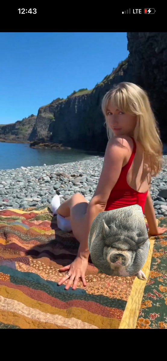 What colour is the bathing suit tho?

$NIKE #CardanoGirls 

🫵🐷