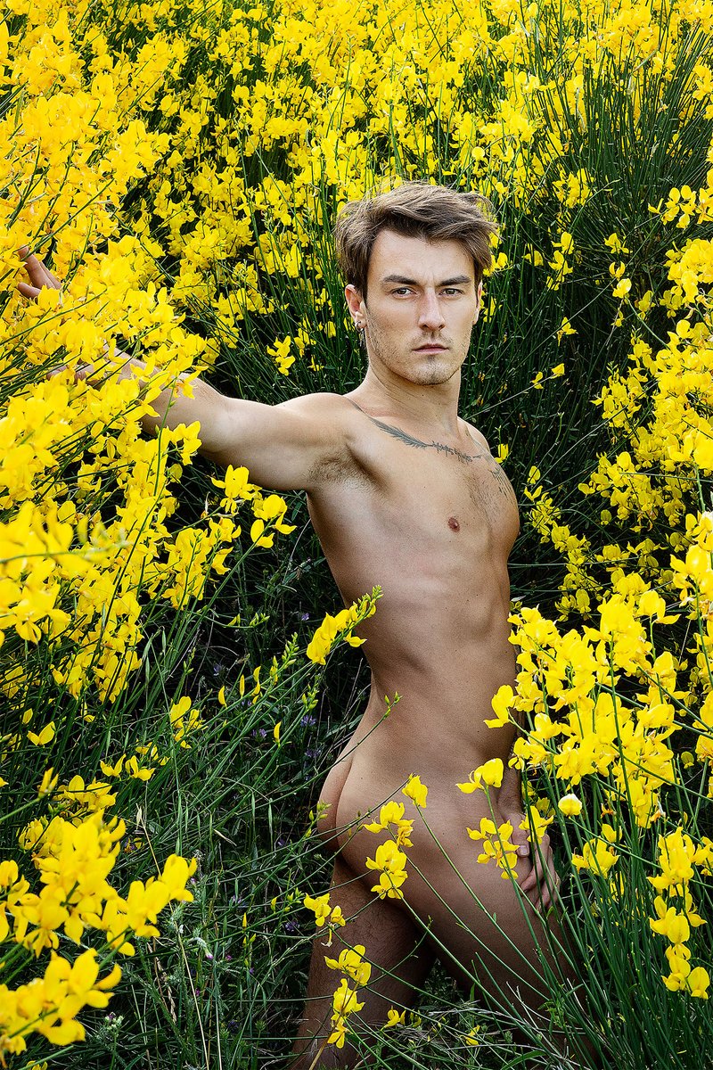 ndXIII13's tweet photo. Jaune Soleil
_ #portraitphoto #portraithomme #outdoorphotography #outdoormodel #photoexterieur #trees #maleportrait #goldenhour
more on https://t.co/28hYmLTp0M https://t.co/t8ooUTm3aw