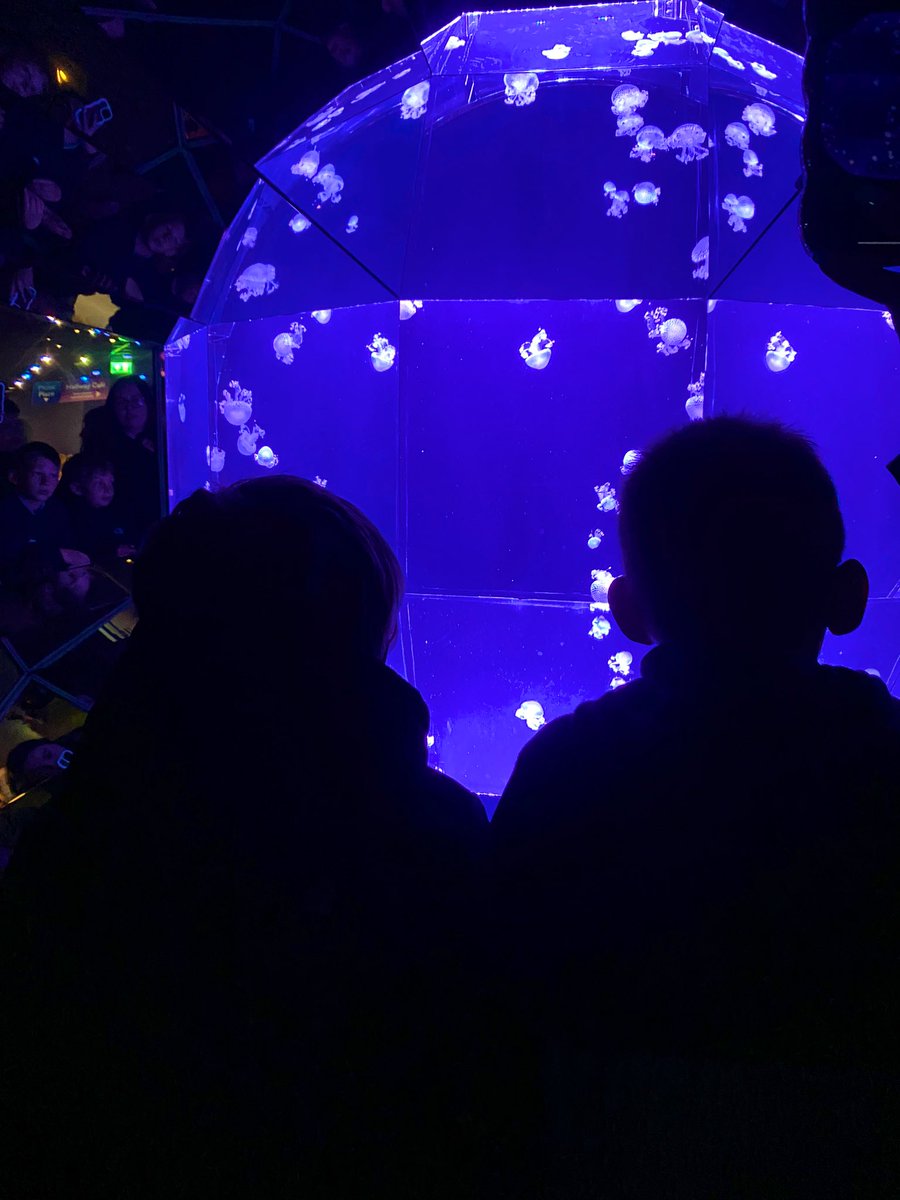 PhoenixHouse tweet media