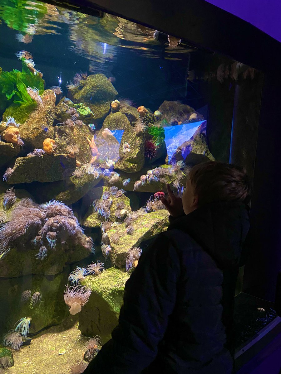 PhoenixHouse tweet media