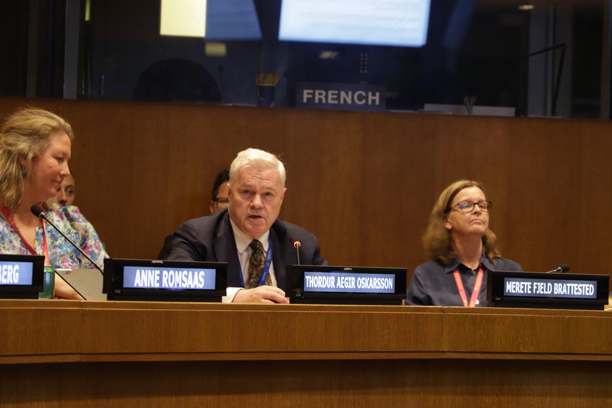 uclg_org's tweet photo. 📍Launch of 1st Nordic #VSR at #HLPF2024. A strategic exercise bringing #LGAs from various countries to enhance subnational reporting.
An example of:
✅shared responsibility
✅International cooperation
✅inclusive and sustainable communities
✅multilevel governance
#Listen2Cities https://t.co/WPiFGCsfZ7