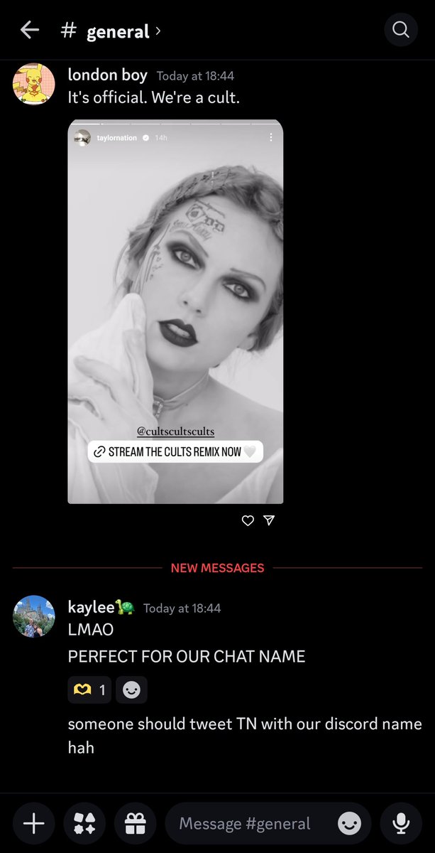 Now that <a href="/taylornation13/">Taylor Nation</a> has acknowledged we are a cult, I can officially announce that my Swiftie Discord has been called "getaway cult" for months 😜