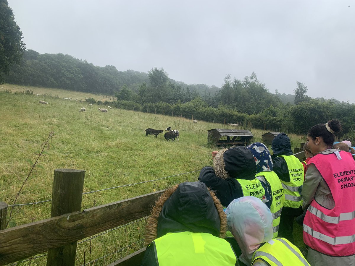 A very wet but brilliant trip with Year 3 to <a href="/MeanwoodFarm/">Meanwood Farm</a>, summed up by <a href="/RoWinstanley/">Rosie Winstanley</a> excitement at finding a baby frog! 🤩 <a href="/ElementsSchool/">Elements Primary</a>