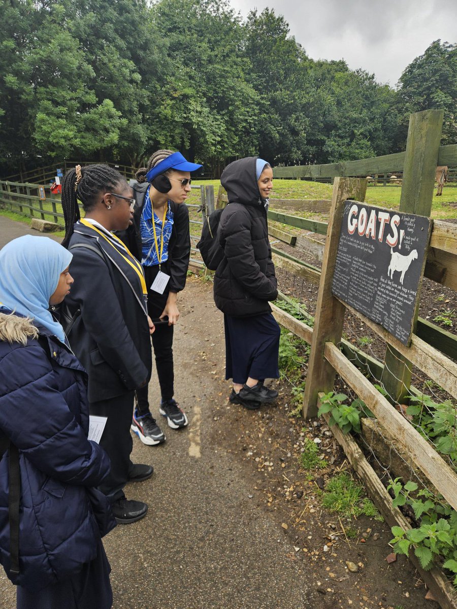 Natascia Servini (@msservini) on Twitter photo Lovely visit to <a href="/hackneycityfarm/">Hackney City Farm</a> today with Ms Francois and our Year 11 Thunberg Pathway students. A wonderful opportunity to spend time together outdoors and having new experiences <a href="/SBonnellSchool/">Sarah Bonnell School</a> #SBGirlsWhoCan Lovely visit to <a href="/hackneycityfarm/">Hackney City Farm</a> today with Ms Francois and our Year 11 Thunberg Pathway students. A wonderful opportunity to spend time together outdoors and having new experiences <a href="/SBonnellSchool/">Sarah Bonnell School</a> #SBGirlsWhoCan