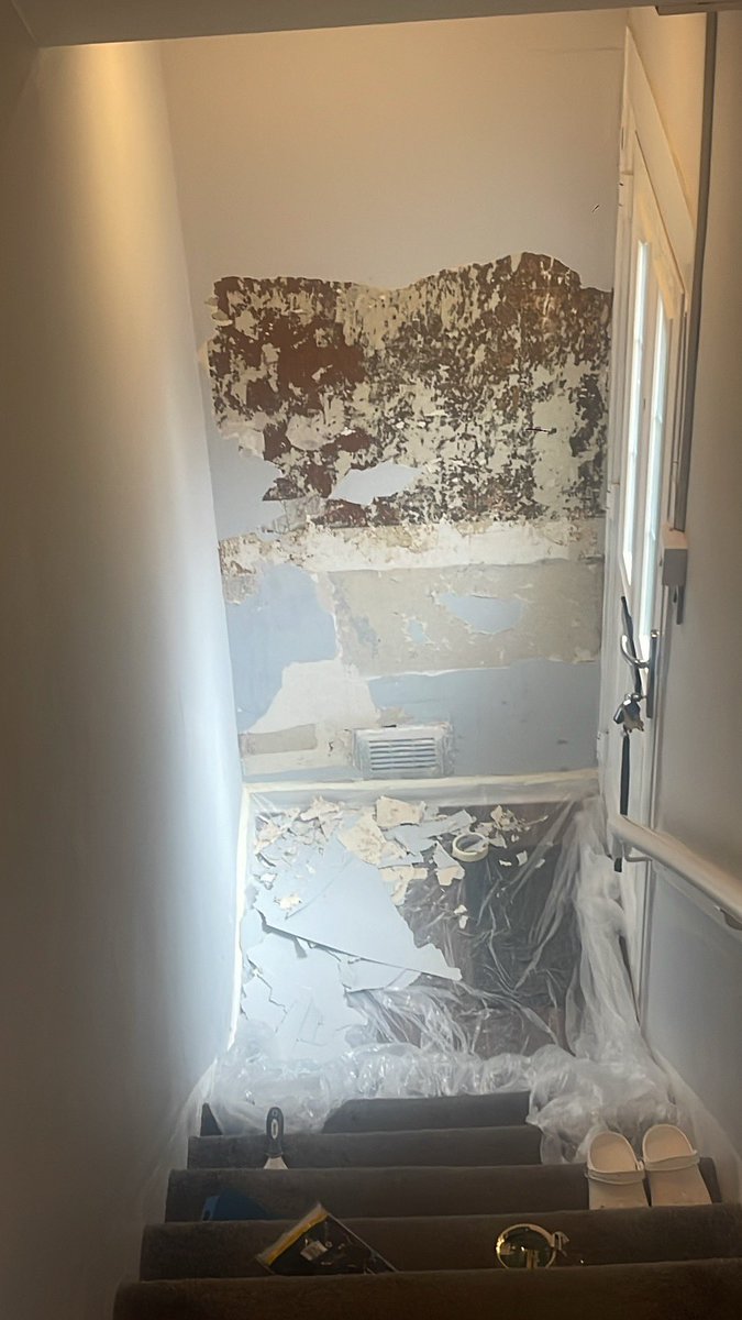 stabigailsmiley's tweet photo. A quiet weekend has turned into stripping the house for the next few weeks 🤦🏻‍♀️ https://t.co/aQBJqlC0id