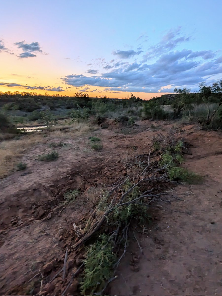 Ogallala Life💧🌱🦫🦬 tweet media