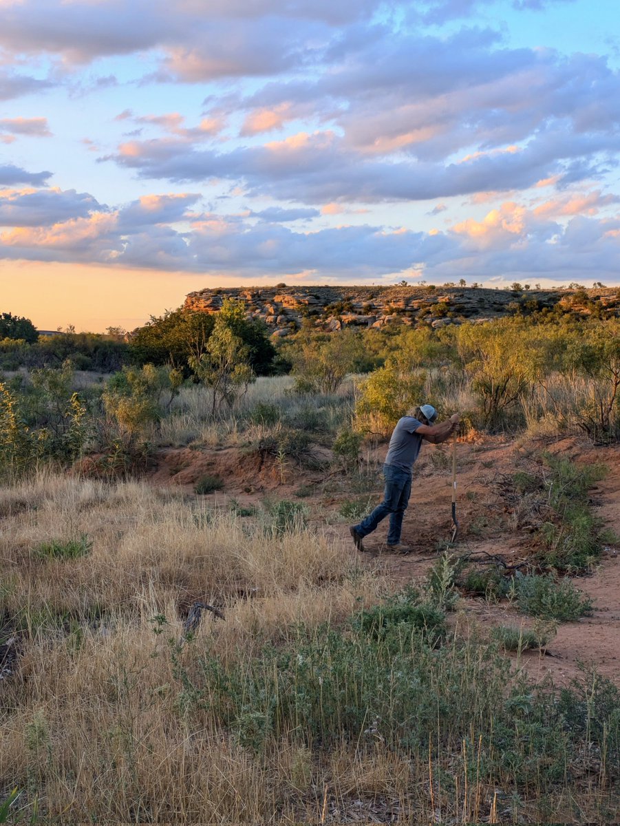 Ogallala Life💧🌱🦫🦬 tweet media
