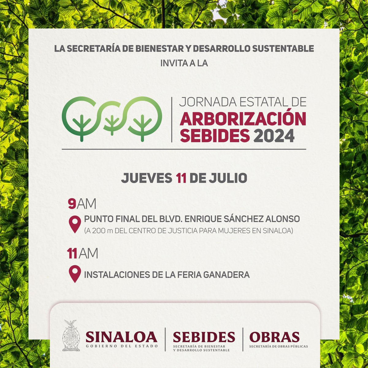 ¡Celebremos el Día del Árbol en México este 11 de julio a las 9:00 am!🌳Únete al banderazo de salida, en Culiacán, iniciamos en el Blvd. Enrique Sánchez Alonso. 

Participa en esta acción coordinada en cada municipio por el bien del planeta.🌎
¡Te esperamos, no faltes!