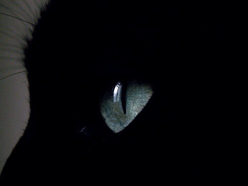 uhicr tweet picture