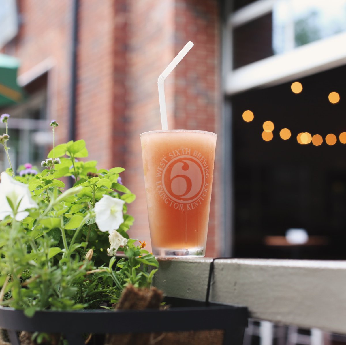 WestSixth's tweet photo. ๐๐โ๐ฉ CHERRY LIMEADE SLUSHEE ๐๐โ๐ฉ Perfectly cold & fruity for summer -- tastes like it belongs in a styrofoam cup #IYKYK -- try our newest boozey slushee flavor at your closest West Sixth taproom! Here for a limited time! #cherrylimeade #westsixth https://t.co/kfCuci0uXG