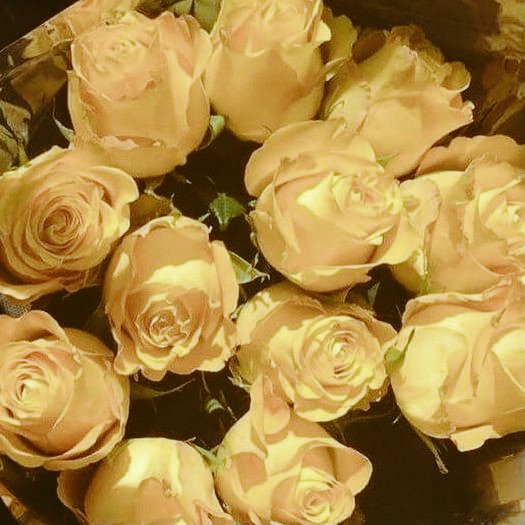 Монетка подлетает в воздух, несколько раз переворачиваясь и приземляясь обратно в ладонь. Только посмотреть вы не успеваете - вас отвлекает свет ярких синих очей мужчины рядом. 

— Какая удача - встретиться здесь с тобой. Твой верный слуга Авантюрин, из отдела стратегических ->