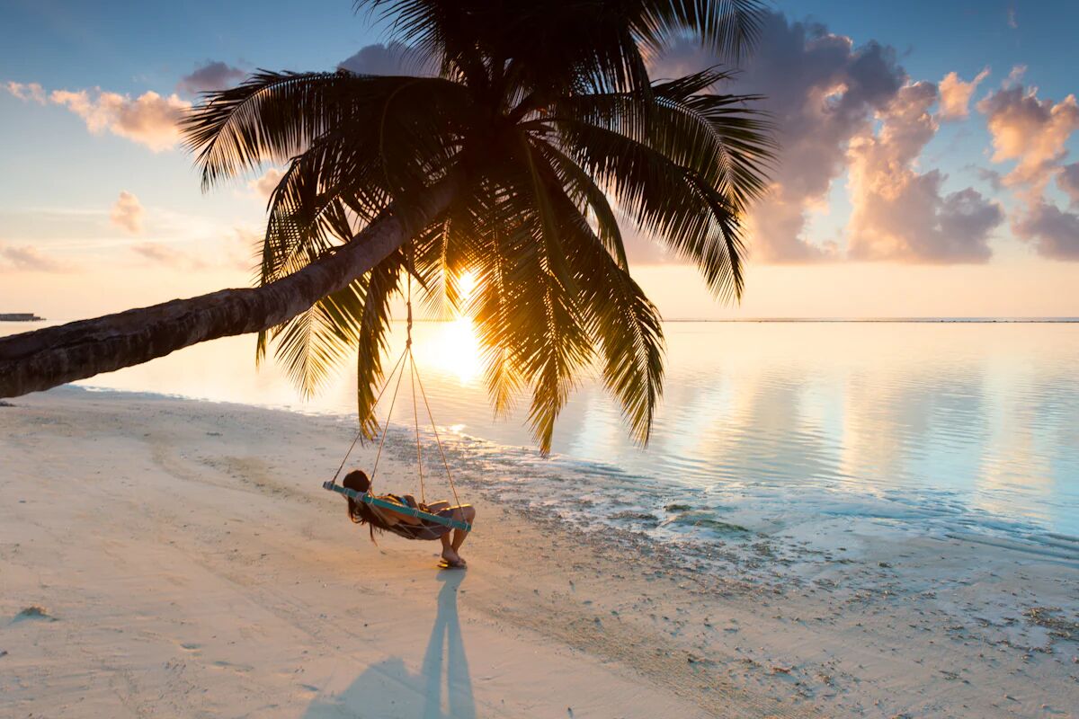 Encounters Travel tweet media