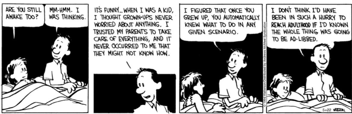 Calvinn_Hobbes's tweet photo. The sad truth… #CalvinandHobbes https://t.co/jAXb3jMO0u