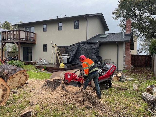 ColoresTree's tweet image. Tackling a stubborn stump? Our stump grinding service ensures a smooth, stump-free yard. Trust us for expert removal! #StumpGrinding #ColoresTreeService
treeservicesaromas.com/contact