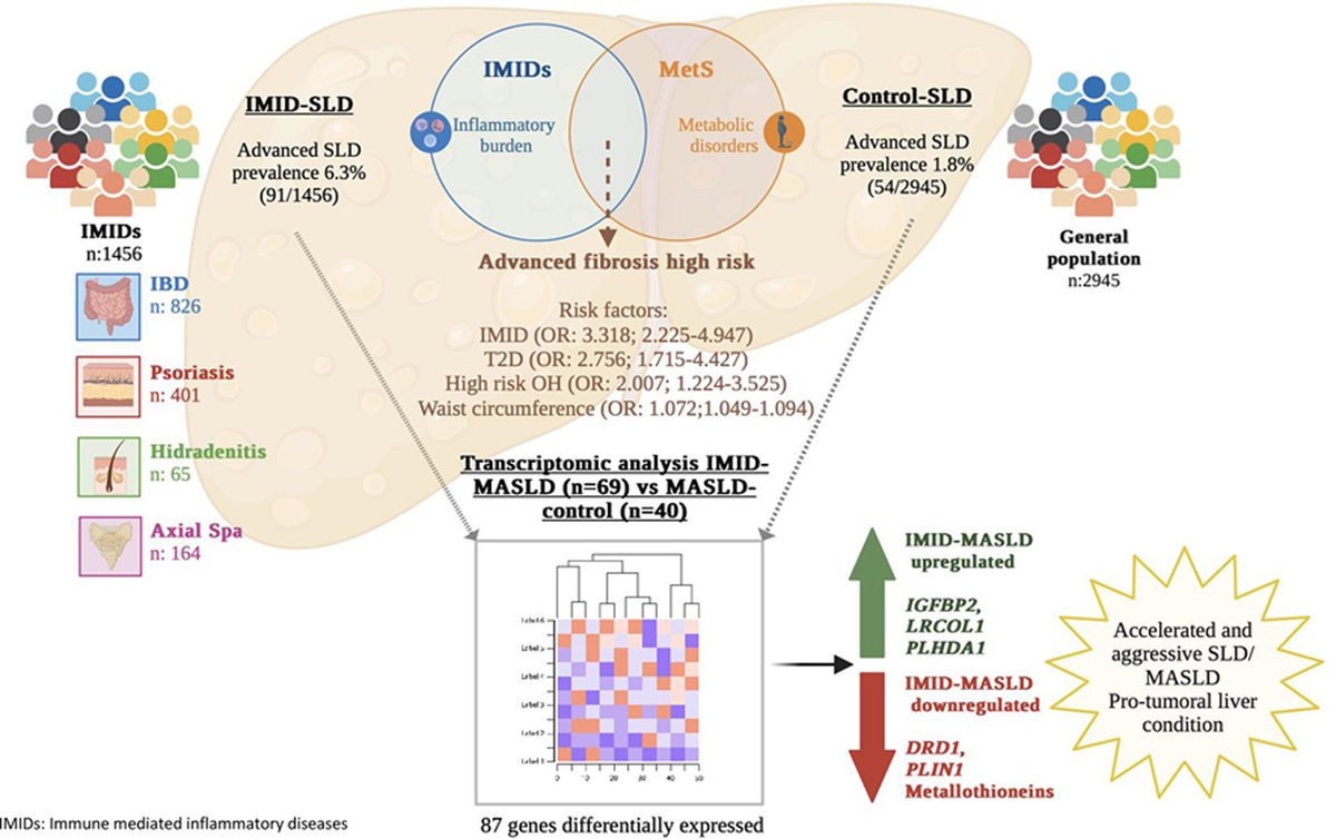 Sociedad Española de Patología Digestiva (SEPD) (@sepdigestiva) on Twitter photo Artículo de investigación
Caracterización clínica y molecular de la enfermedad hepática esteatósica en el contexto de enfermedades inflamatorias inmunomediadas.
jhep-reports.eu/article/S2589-…
Open Access <a href="/JHEP_Reports/">JHEP Reports</a>
<a href="/juancrduque/">Juan Carlos Rodríguez Duque</a> <a href="/Coral_RRivas/">Coral Rivas Rivas</a> <a href="/LabVaque/">Jose P. Vaqué</a> <a href="/MAriasLoste/">Mayte Arias Loste</a> <a href="/DrJavierCrespo/">Javier Crespo</a> Artículo de investigación
Caracterización clínica y molecular de la enfermedad hepática esteatósica en el contexto de enfermedades inflamatorias inmunomediadas.
jhep-reports.eu/article/S2589-…
Open Access <a href="/JHEP_Reports/">JHEP Reports</a>
<a href="/juancrduque/">Juan Carlos Rodríguez Duque</a> <a href="/Coral_RRivas/">Coral Rivas Rivas</a> <a href="/LabVaque/">Jose P. Vaqué</a> <a href="/MAriasLoste/">Mayte Arias Loste</a> <a href="/DrJavierCrespo/">Javier Crespo</a>