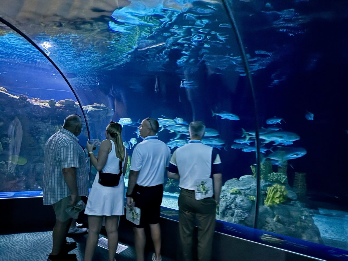 KahuaInc's tweet image. Kahua&apos;s AJ Waters is attending #WASHTO Conference July 7-10! We&apos;ll be diving into presentations from the Nebraska Department of Transportation &amp;amp; the U.S. Department of Transportation. Last night, attendees enjoyed a fantastic reception at Omaha&apos;s Henry Doorly Zoo and Aquarium! 🐠