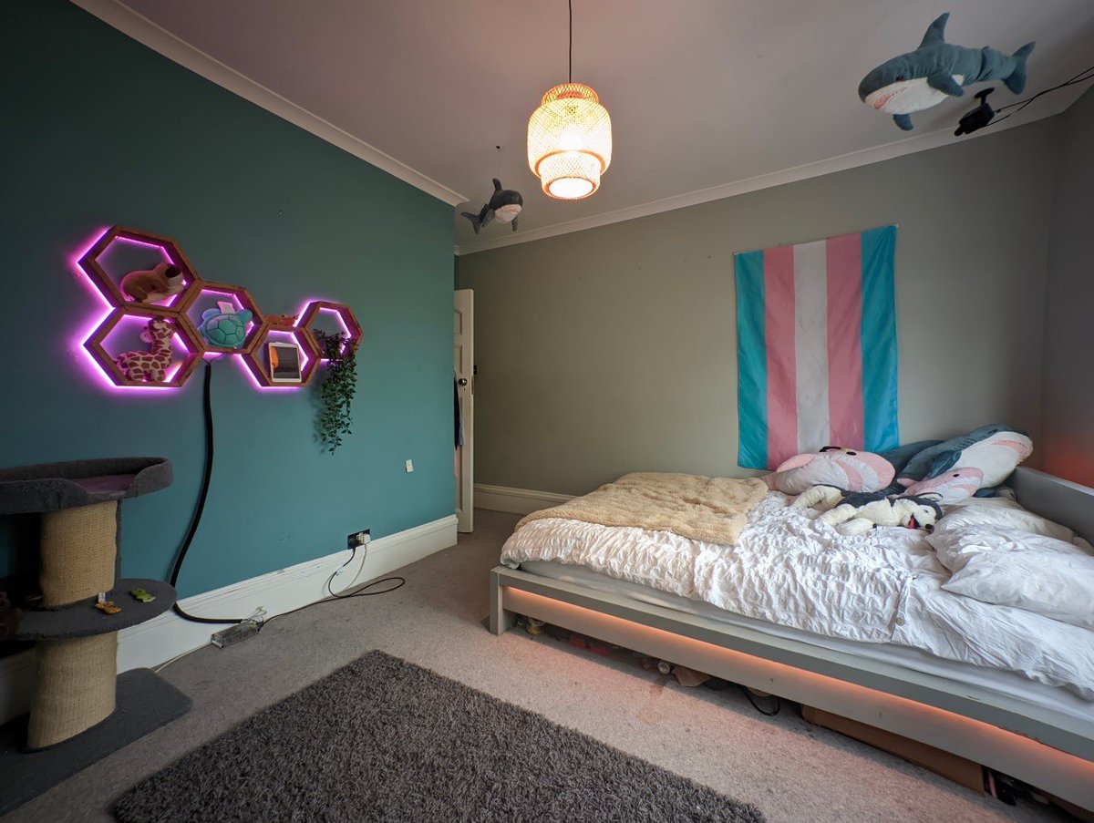 New room decorations :3