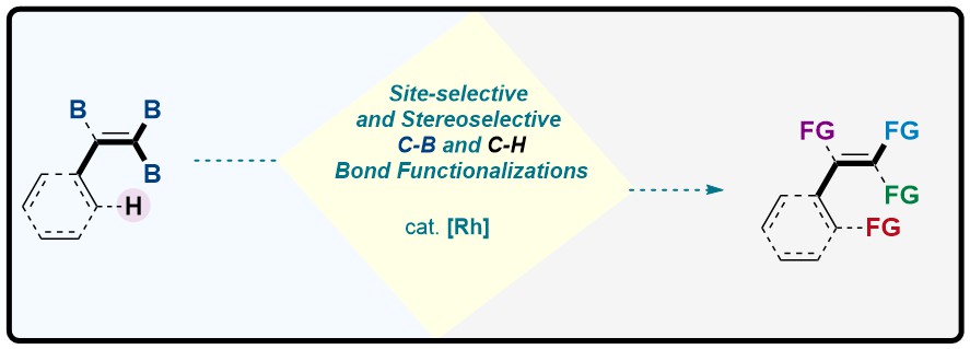Ahmad Masarwa (Masarwa Lab) (@ahmadmasarwa2) on Twitter photo We are happy to share our recent study on Stereoselective Rh-catalyzed C−B and C−H Bonds Functionalization of PolyBorylated Alkenes. Congrats to <a href="/NadimEghbarieh/">Nadim Eghbarieh</a> , Dr. Narendra Vaishnav, and our collaborator Prof. Haines.
onlinelibrary.wiley.com/doi/10.1002/an…
Many thanks to <a href="/angew_chem/">Angewandte Chemie</a> We are happy to share our recent study on Stereoselective Rh-catalyzed C−B and C−H Bonds Functionalization of PolyBorylated Alkenes. Congrats to <a href="/NadimEghbarieh/">Nadim Eghbarieh</a> , Dr. Narendra Vaishnav, and our collaborator Prof. Haines.
onlinelibrary.wiley.com/doi/10.1002/an…
Many thanks to <a href="/angew_chem/">Angewandte Chemie</a>