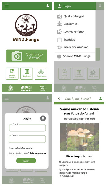 joicy_xavier's tweet photo. The purpose of utilizing this database is twofold: firstly, to furnish training and validation for Convolutional Neural Networks (CNNs) with the capacity for autonomous identification of macrofungal species; secondly, to develop a sophisticated mobile application. https://t.co/ZscP2ppLU6
