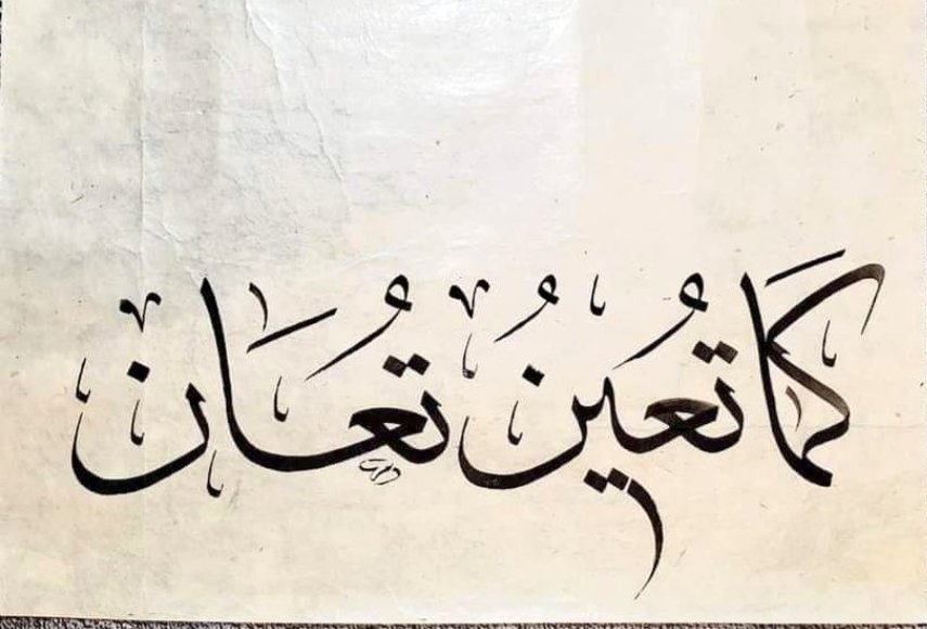 خمسيني القلب tweet media