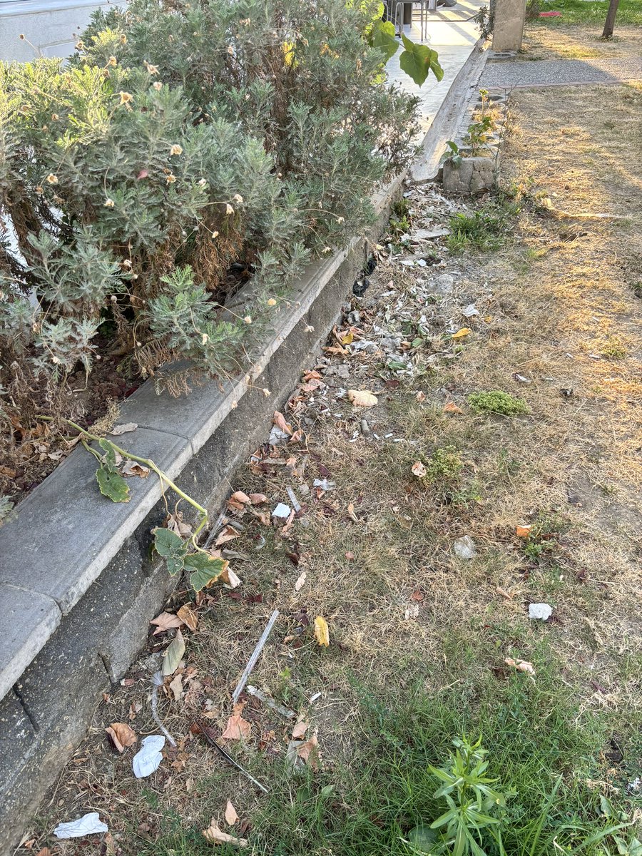 Maşallah her yer pırıl pırıl, hiç mi temizlik yapılmaz hiç mi şuralara bakım yapılmaz!! <a href="/kadikoybelediye/">Kadıköy Belediyesi</a>