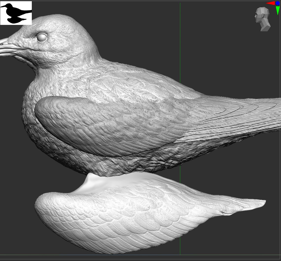 neweyear's tweet photo. #鳳頭燕鷗 #黑嘴端鳳頭燕鷗 #神話之鳥 #Thalasseusbergii #Bergii #CrestedTern https://t.co/ANE0SOZSsh