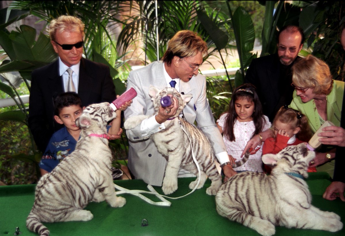 Siegfried &amp; Roy with their new baby tiger cubs in 2003. Their magical bond with majestic white tigers captivated hearts worldwide for decades.

January 31, 2003