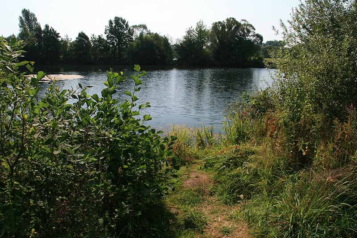 beingmyself_25's tweet photo. Anscheinend hat jemand einen Kaiman 🐊am Silbersee in Launsbach freigelassen. Bin ich jetzt in Süd-u. Mittelamerika? Ich fühlte mich wie bei Nacked Survival eine Sendung bei DMAX jeden Freitag ab 20:15 Uhr. 😁
#Kaiman #Wettenberg #Launsbach #Silbersee #Gießen #Abenteuer #Juni2014 https://t.co/OdZ31ALR63