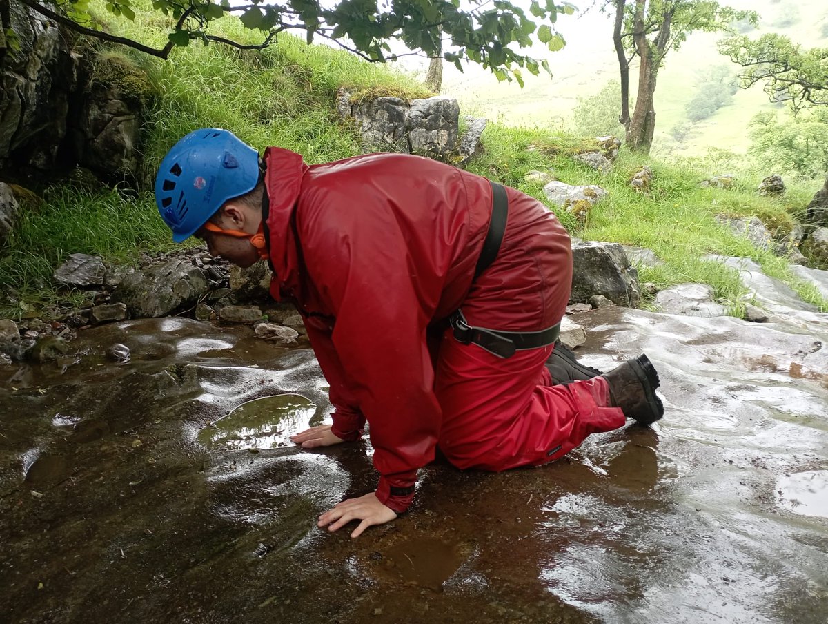 Manor PE tweet media