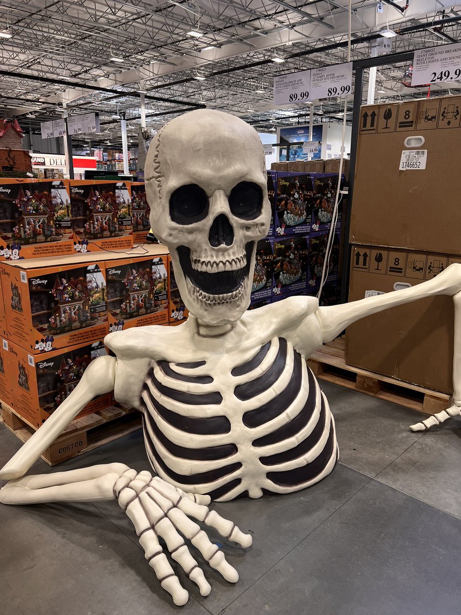 bdavid_chi's tweet photo. Yoo @milesofgray I think Costco was in on that Food &amp; Wine article. Just saw the Halloween decorations make it to the warehouse floor https://t.co/dT6FImibw3